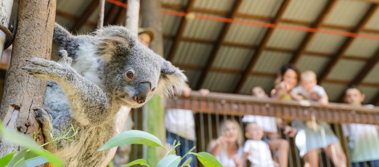 Nature lovers 3-day escape